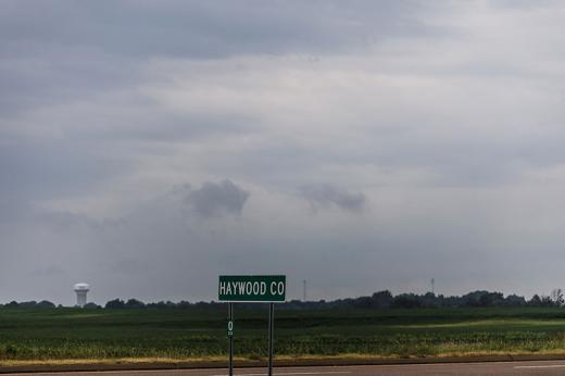 Green and white HAYWOOD CO sign beside the road with green pasture in the background.