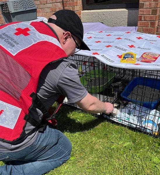A person in a red and white American Red Cross vest kneels down in front of a couple of small, black, wire crates and extends his hand toward the calico kitten inside the right side crate. Litter boxes are in both crates and an ARC blanket covers the top of both crates with a couple of treat packages laying on the blanket.