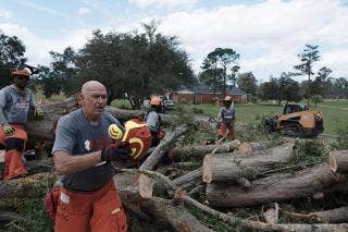 Four Team Rubicon personnel wearing orange utility pants, gray logoed t-shirts and orange hard hats amidst downed trees, some cut into sections with one walking past camera holding helmet in hands.
