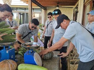 A person cuts a squash while two others look on. Meanwhile, another nearby bends over the table, while a person in the background holds papers and another places produce in a scale. A scale and other produce are scattered on the table with baskets on the ground nearby.