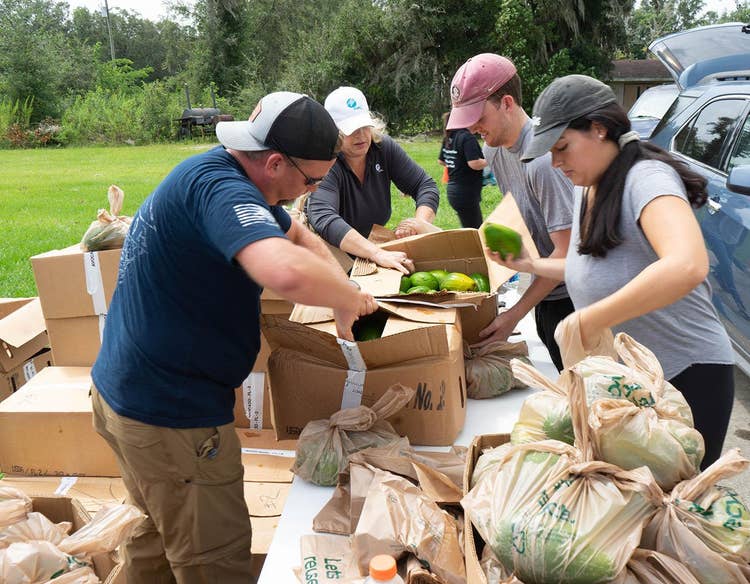 Four people outdoors, wearing baseball style caps working at a table to unpack papayas from cardboard boxes and place into plastic bags. Persons and vehicles are in the background.