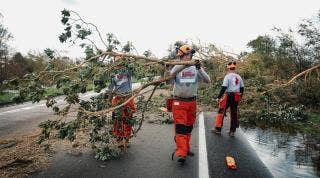 Team Rubicon volunteers carrying away tree debris